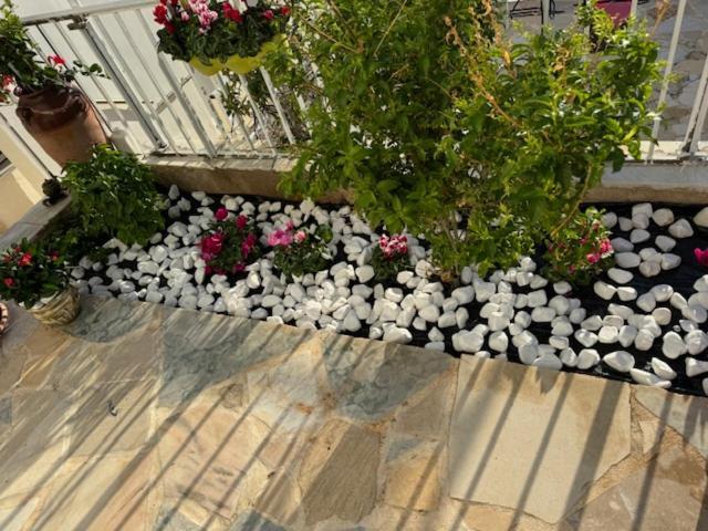 Apartamento Panorama Γλυκά Νερά - Athens Exterior foto